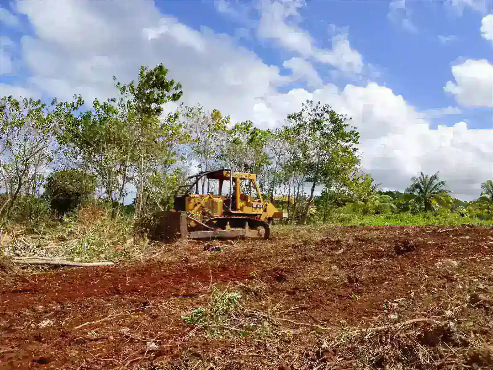 Persiapan Lahan Berjalan Lancar, Groundbreaking Blok Masela Semakin Dekat