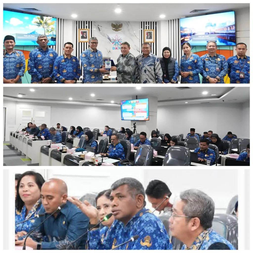 Kabupaten MBD Menjadi Daerah Terdepan Penerapan Manajemen Talenta ASN di Maluku