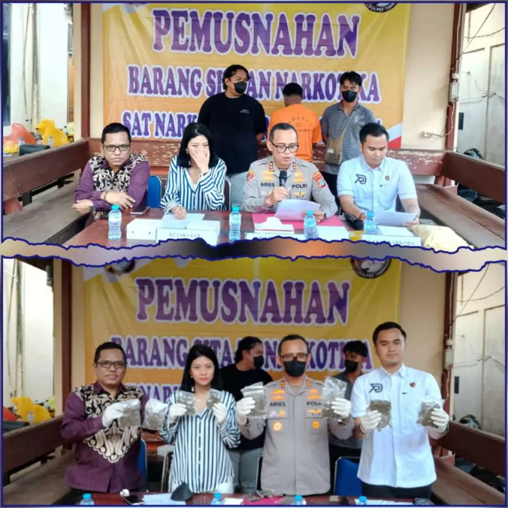 Satresnarkoba Polres Tambrauw Bongkar 268 Gram Ganja, Satu Tersangka Dibekuk di Sorong