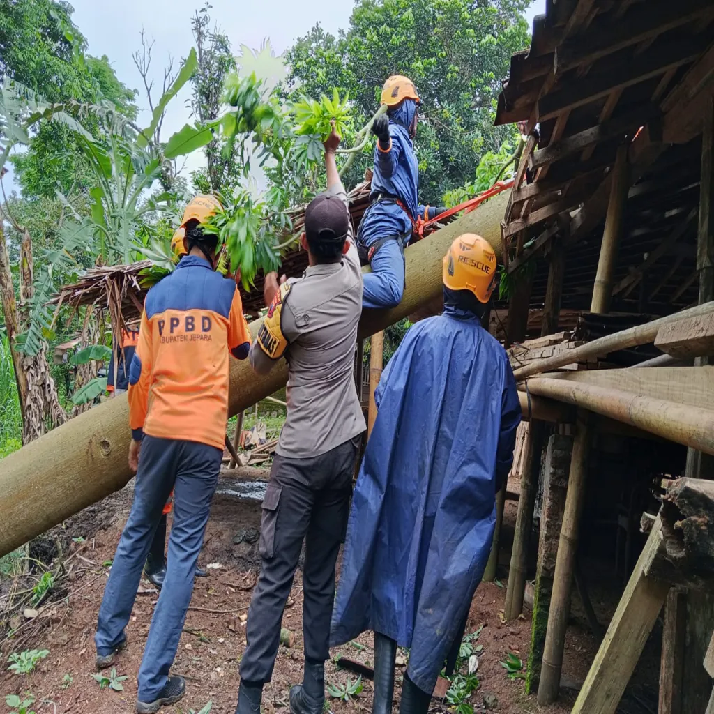 Polisi Respons Cepat Via 110, Bantu Warga Terdampak Pohon Tumbang Di Jepara