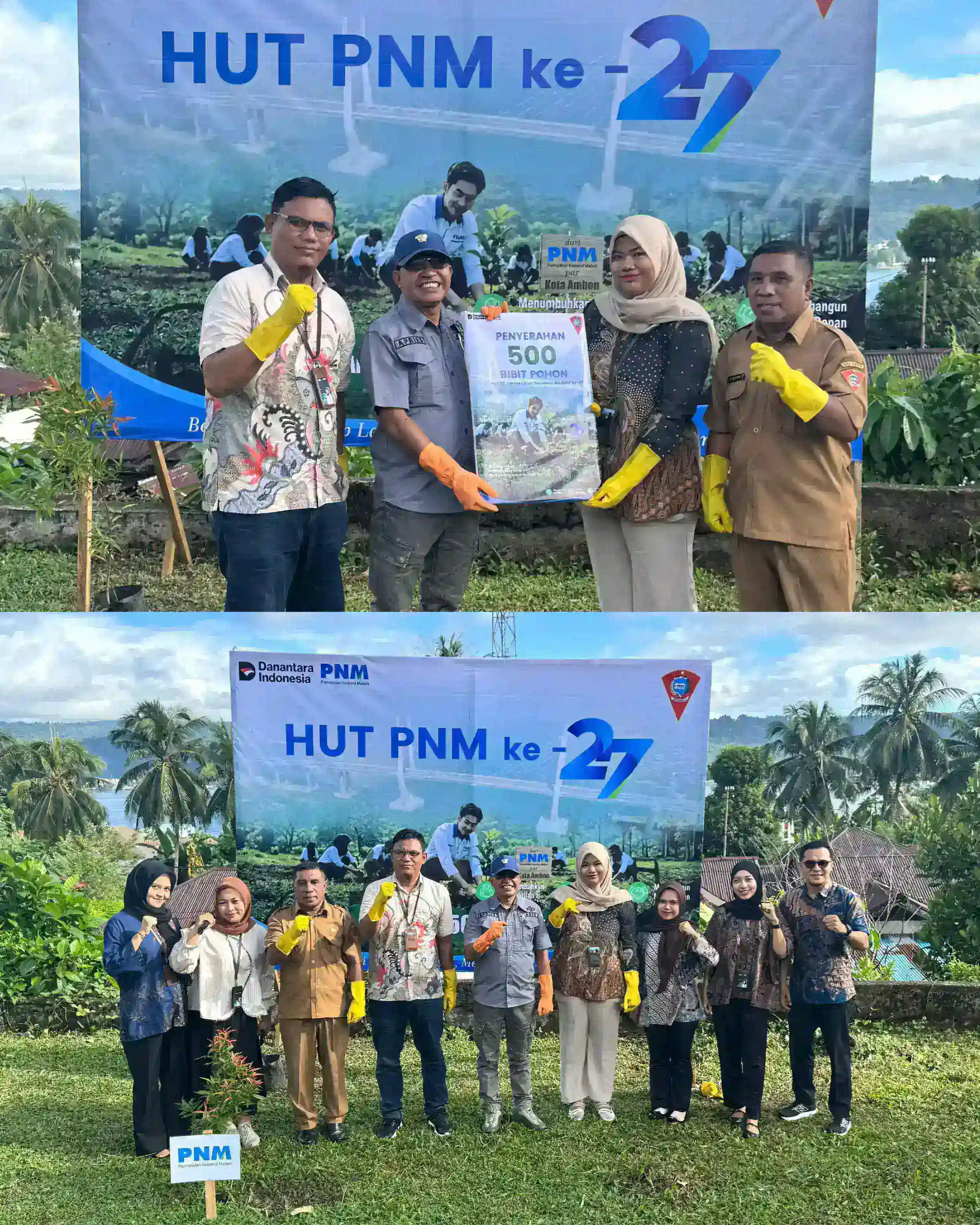 Gerakan Hijau PNM: Tanam 29.000 Pohon di Seluruh Indonesia, 500 di Antaranya di Ambon