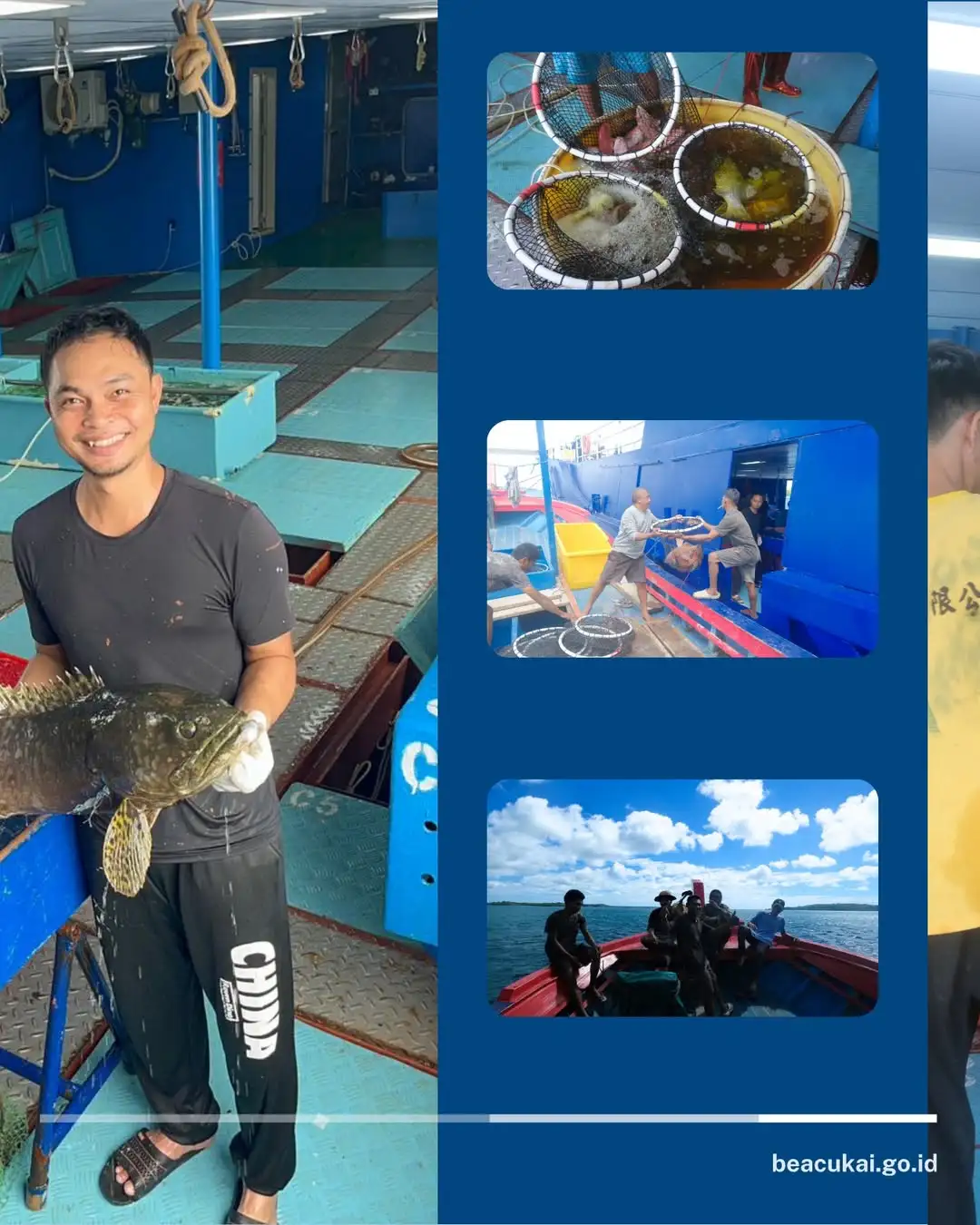 Kerapu Maluku Tembus Pasar Hong Kong, 4,6 Ton Diekspor dari Maluku Tenggara