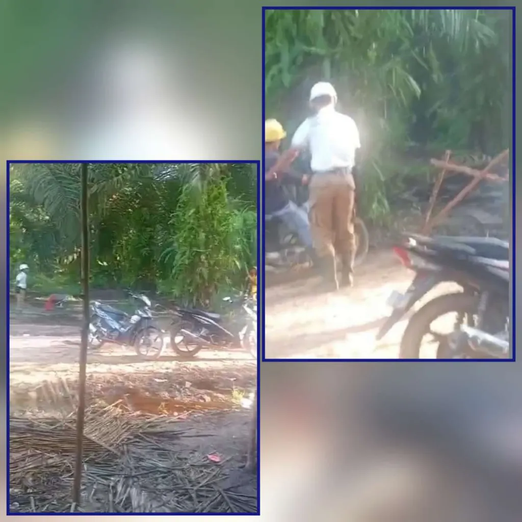 Perampokan Sawit di Ketapang: PT SNP Estate Karya Palma Diduga Gasak 56 Ton Buah Masyarakat, Dikawal Oknum TNI