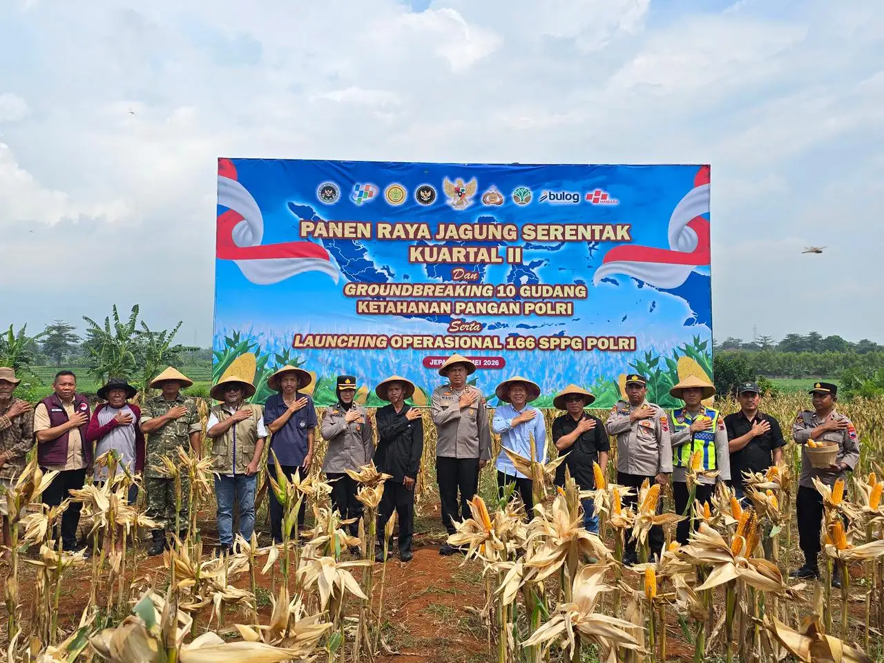 Polres Jepara Sukses Panen Raya 5 Ton Jagung, Bukti Nyata Polri Kawal Ketahanan Pangan