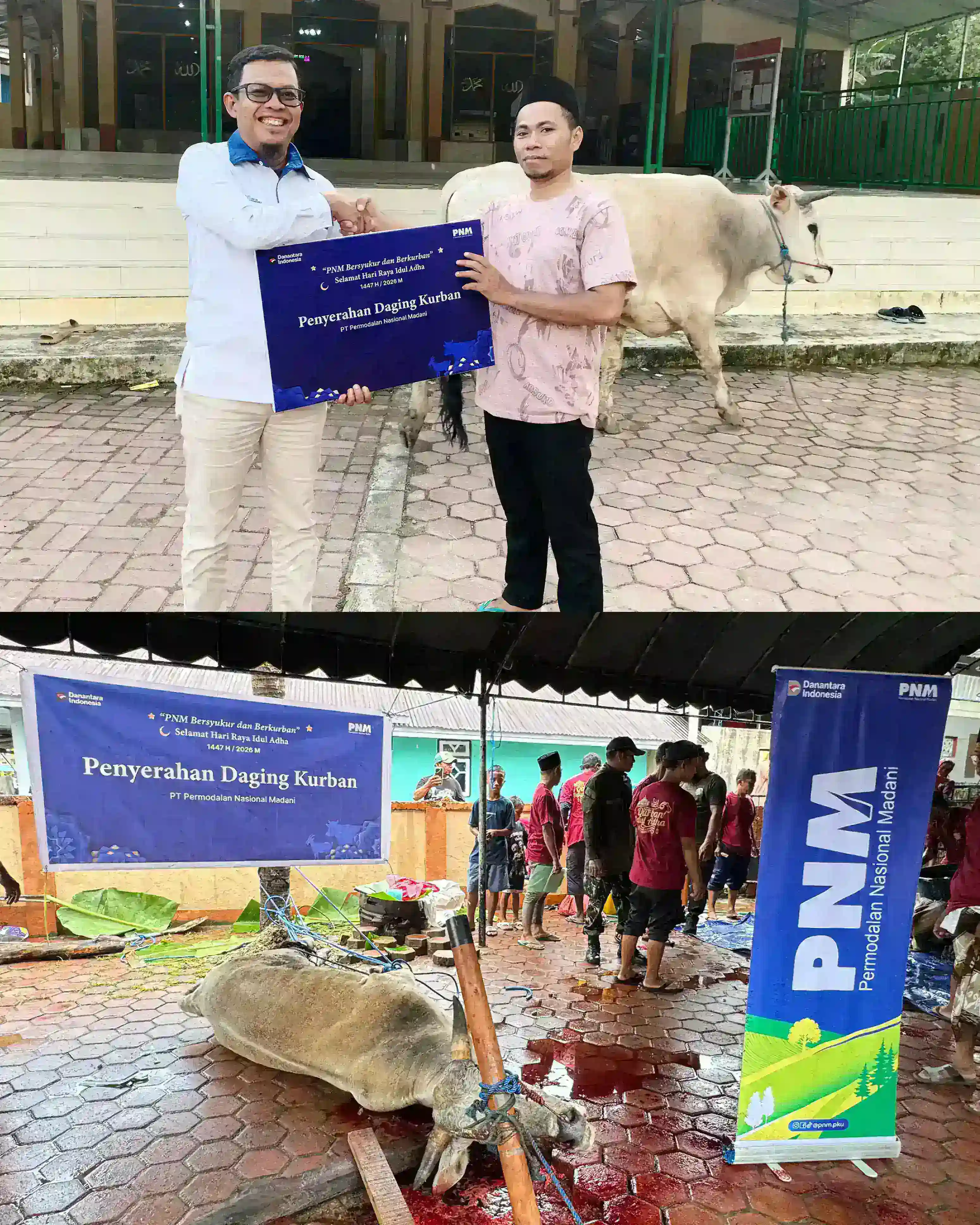 PNM Tebar Syukur, Salurkan Hewan Qurban Ke Warga Desa