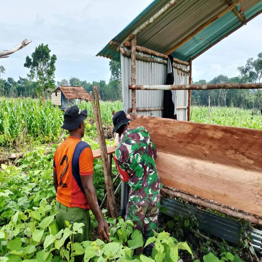 Babinsa Koramil 1503-06/Pulau-Pulau Kur Bantu Warga Bangun Rumah Kebun di Desa Tubyal