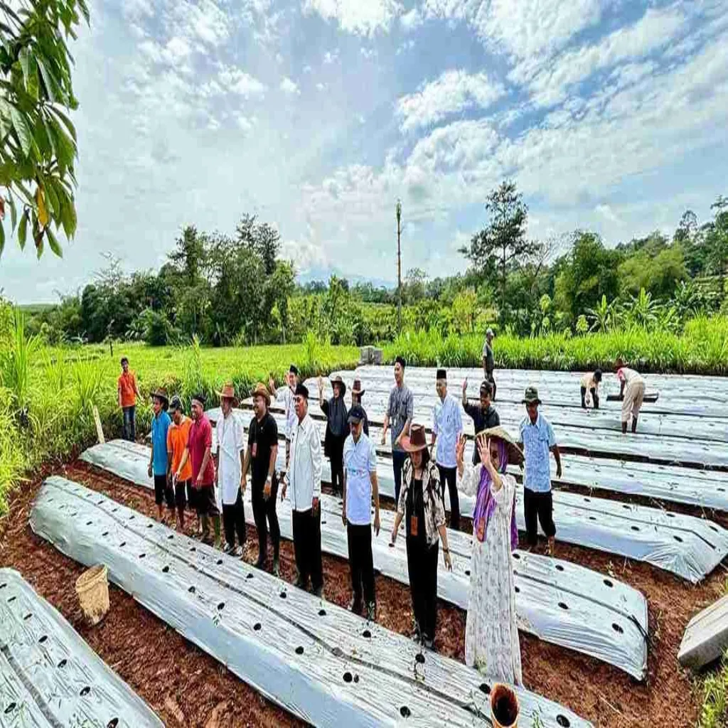 BUMDesa Bumi Emas Pemdes Kecapi Kerjasama dengan Perumda Aneka Usaha Jepara Kembangkan Pertanian