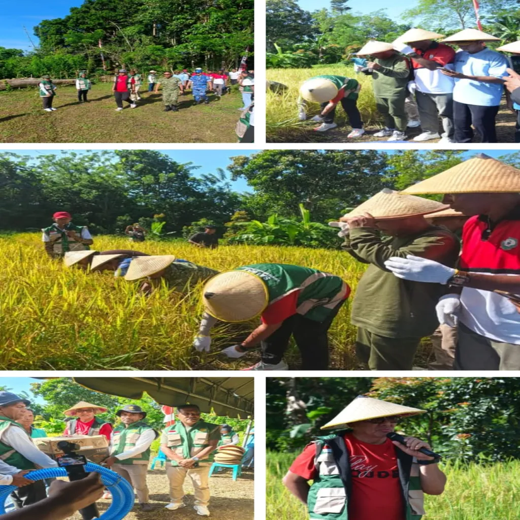 PANEN PADI GOGO DI LAIRNGANGAS, BUPATI MALRA TEKANKAN SWASEMBADA PANGAN 2025